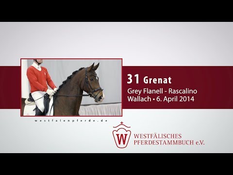 31 Grenat Wallach v. Grey Flanell - Rascalino