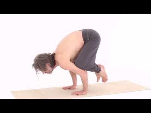 Schwanhaltung 1 - Hamsa Asana