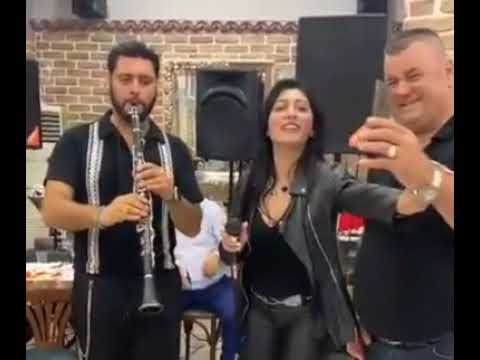 Eglantina loshi... SONILA