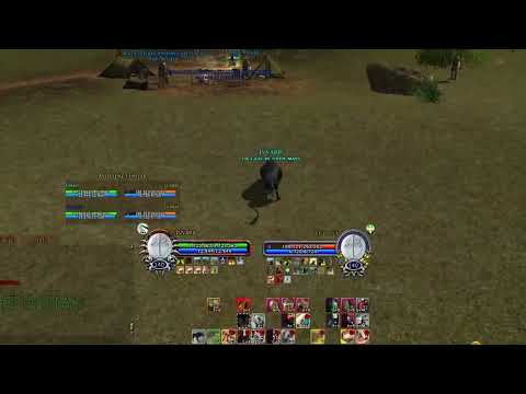 Lil cats on laggs I Lotro