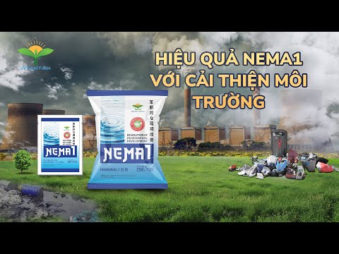 Hiệu quả của NEMA1 trong cải thiện môi trường