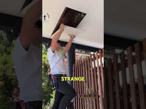 Bees took over his celling😱/#shortsvideo