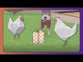 The Silly World Of Katamari Damacy
