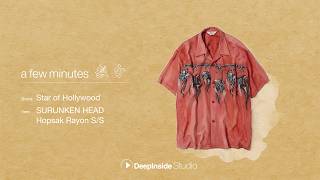a few minutes #14 / Star of Hollywood