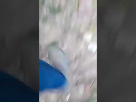 This Dumbass won the Darwin Award!! Tada!