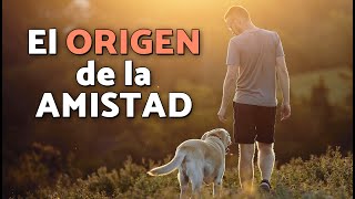 Thumbnail del capítulo