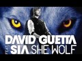 David Guetta and Sia - She Wolf Falling to Pieces ...