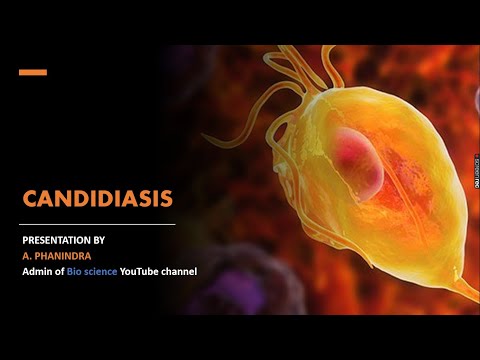 STRUCTURE OF BACTERIA BY PHANINDRA GUPTHA