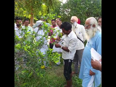 Plant Pruning training by Deepak Suchde Ji!!
