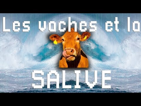 , title : 'COMBIEN de SALIVE produit une VACHE  SF#1'