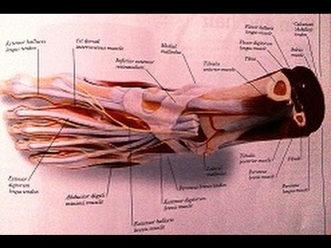 Infections Of The Foot