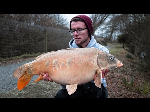 Winter Fishing on the Gwinear Specimen Lake | Day Ticket Carp Fishing in Cornwall [with Rig Demo]