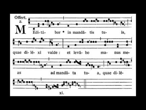 Offertorium Meditabor