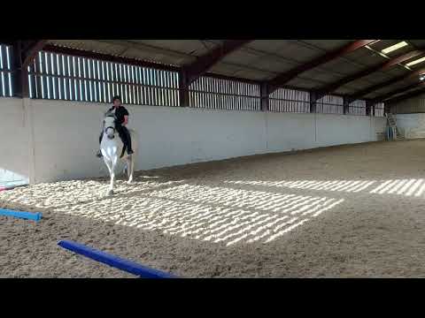 Charlie Turner DO 3 Intro