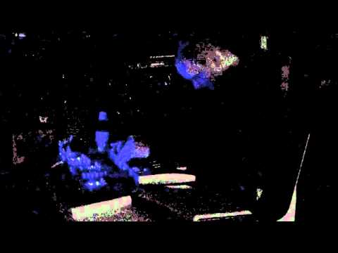 Kevin Harris at Floating Labs