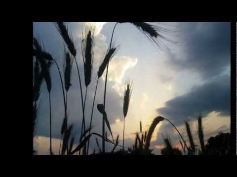 Where is your Mind ♪