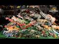 99 New Jurassic World Rebirth Dinosaur Toys Unboxed 2025 Complete Collection Mattel Dino Toys 67