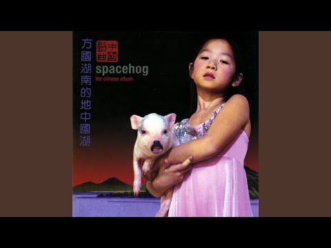 Skylark - Spacehog