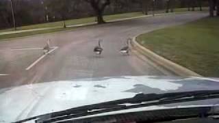 i thought this only happens in the movies