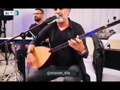 HOZAN DİYAR POTPORİ #shorts #keşfet #hozandiyar  #diyardersim  #tiktok #istanbul #diyarbakır