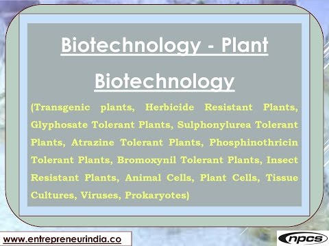 Plant biotechnology handbook