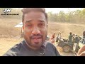 Tigers Of Bandhavgarh National Park Bandhavgarh Tiger Reserve Tiger Safari