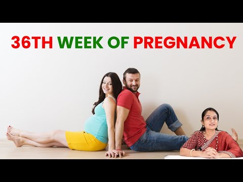36th week of pregnancy