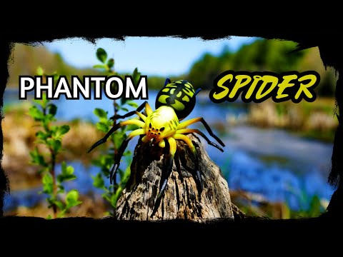 Lunkerhunt Phantom Spider | Does It Work | Lure Review