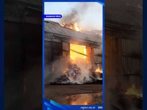 Foco activo pero controlado | ASÍ CONTINÚA EL INCENDIO EN ADECO AGRO Dalmacio Vélez  #incendio