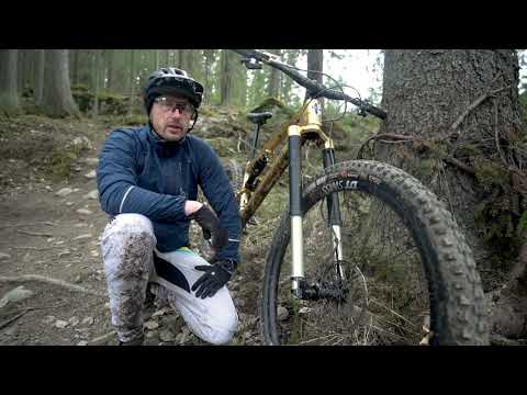 Stamina 180 Remastered True Gold - Intend-BC Prototype Fork Check