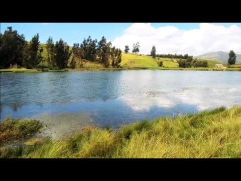A la salida de Choclococha - Trio Amanecer de Huancavelica (Imágenes Choclococha Acobamba Hvca)