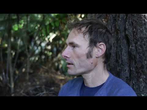 Levi Harrison video.