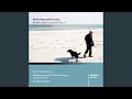 Clarinet Quintet "Hymn to Artemis Locheia" (2004): Cadenza