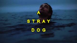 Robert Pattinson - Stray Dog [Interview Magazine BTS]