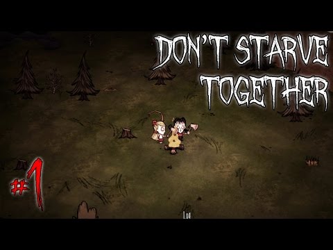 Don't Starve - Together #1: z Teo - "Lamienie czas zacząć!"