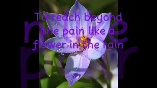 jaci velasquez - Flower in the rain - with Lyrics