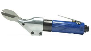 Pneumatic Riveter - 1/4