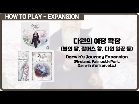 보드게임 [다윈의 여정 확장(불의 땅, 팔머스 항 등)] 9분 안에 알려드립니다. (Darwin