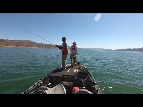 Bass Cat Eyra & P2 Bass Fishing On Lake Berryessa....When Something Weird Passes By!