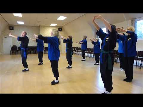 Lee Style Tai Chi Form 1-12