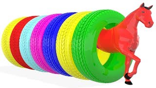 Learn Colors with Horse Rainbow Car Tires for Kids #l - Colours Animals 3d Kids Video