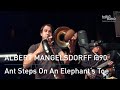Mangelsdoff @90 feat. Nils Wogram: "ANT STEPS ON A ELEPHANT'S TOE" | Jazz | Frankfurt Radio Big Band