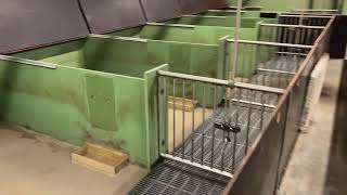 Myytävät muut karjatalouskoneet - Kuva 4 | Agroline FI Muut karjatalouskoneet | Kuva 4 - Agroline