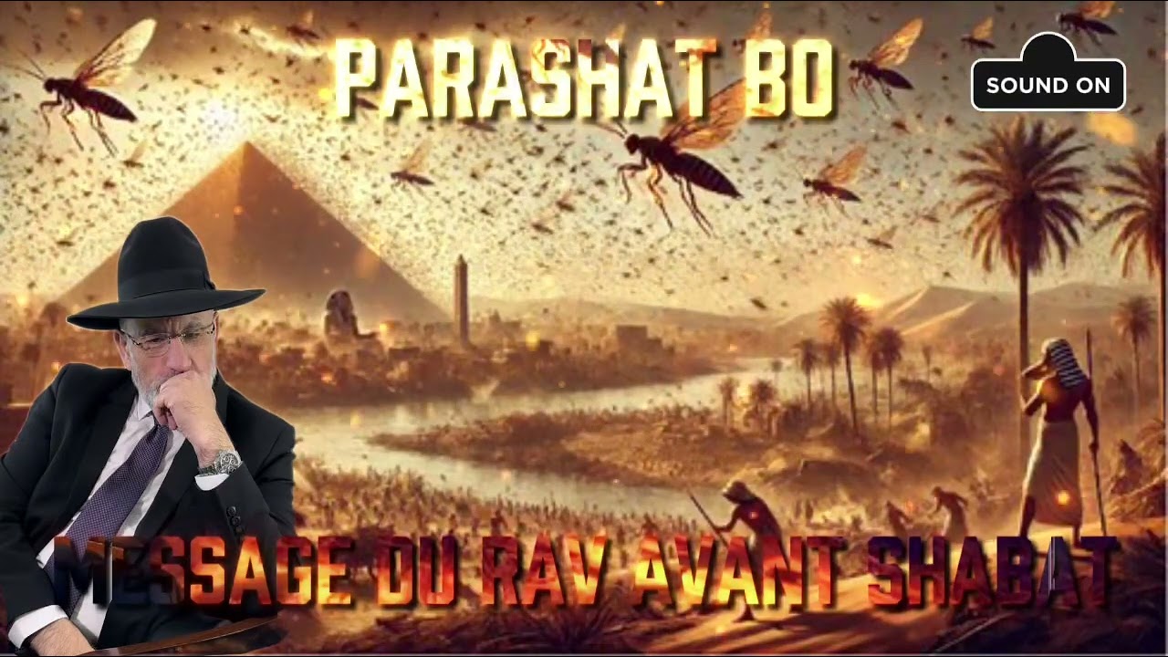 Parashat Bo 5785 (2025) Message du Rav avant Shabat 🇮🇱