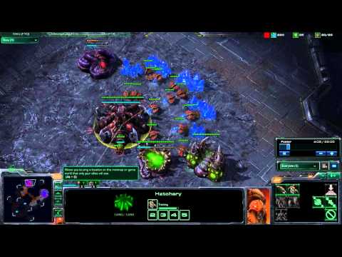 DalaiLameR vs Kuba - ZvZ - Starcraft 2 (part 1).wmv
