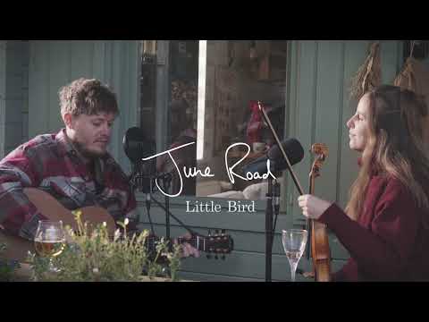 Little Bird - June Road