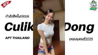 Download lagu #กำลังฮิตในtiktok ( Culik Aku Dong X Apt Thailand ) V.THAILAND STYLE / NGATHIT RMX mp3