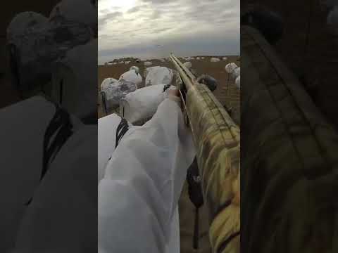 Dropping Single Low Snow | Wknd Warriors Co.