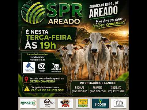 🎥 Leilão Presencial e Virtual Sindicato de Areado