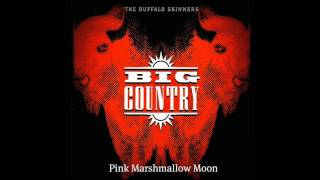 Big Country - Pink Marshmallow Moon - [live] 1993